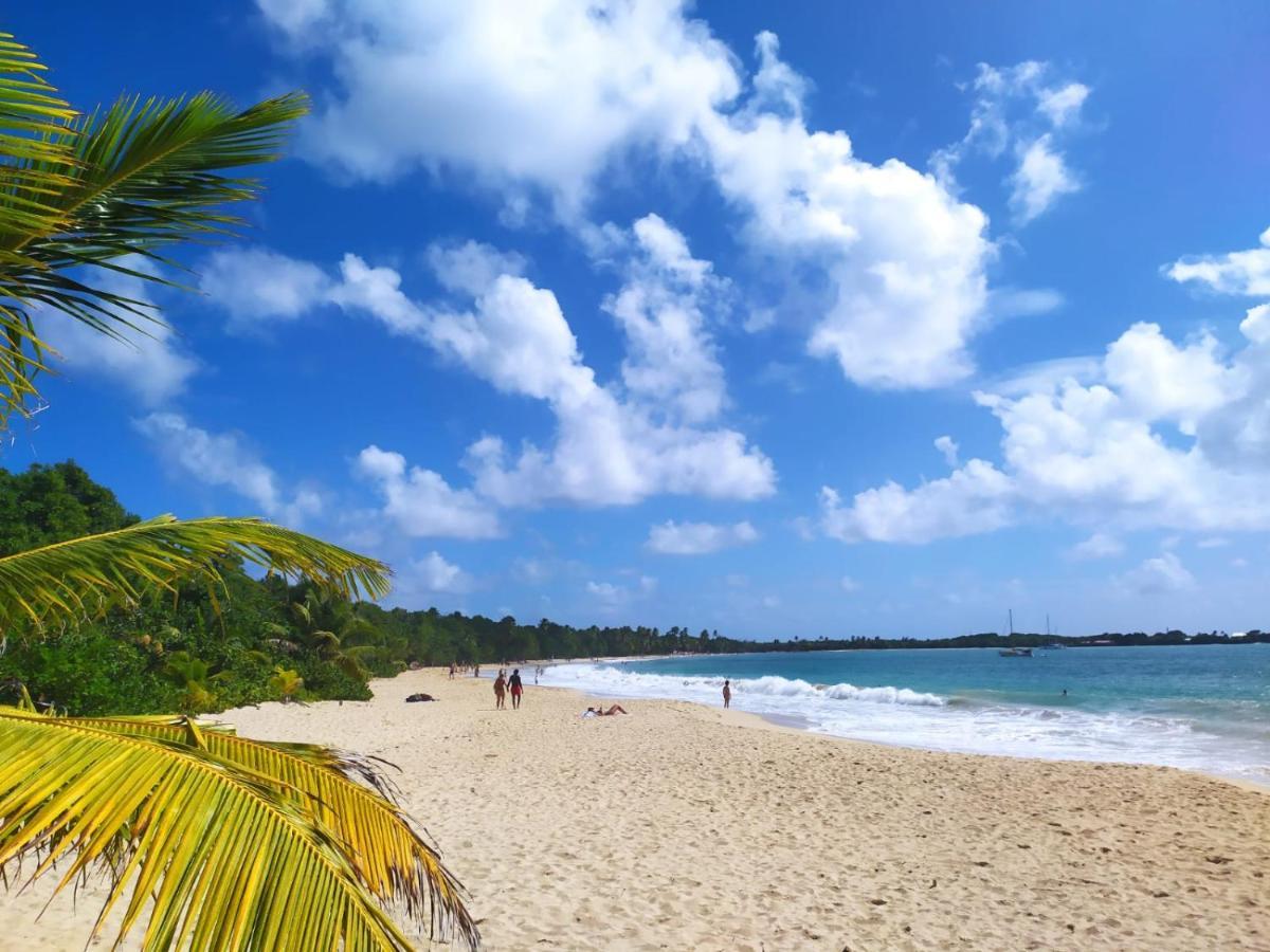 Imagine972 Martinique Bateau Hotel A Quai Le Marin 3 Cabines 3 Salles De Bains 6 Pers Maxi Buitenkant foto