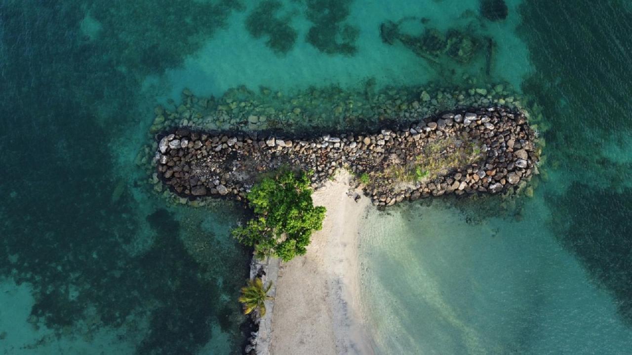 Imagine972 Martinique Bateau Hotel A Quai Le Marin 3 Cabines 3 Salles De Bains 6 Pers Maxi Buitenkant foto