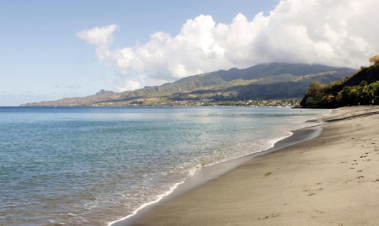 Imagine972 Martinique Bateau Hotel A Quai Le Marin 3 Cabines 3 Salles De Bains 6 Pers Maxi Buitenkant foto